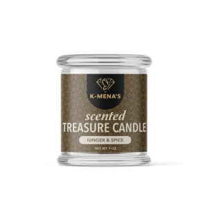 Ginger 'N' Spice - 9oz Scented Treasure Candles